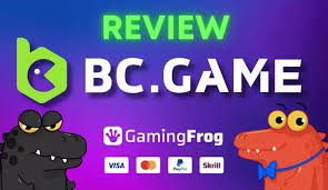Understanding BCigra The New Frontier in Online Gaming