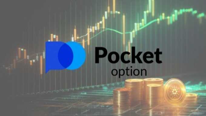 Comprehensive Guide to the Pocket Option Platform