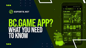 Discover the Thrill of Crypto Casino BC Game