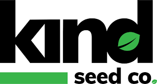 The Ultimate Guide to Cannabis Plant Seeds
