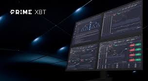 The Future of Trading Exploring the PrimeXBT Hub